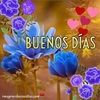 juana_almonte